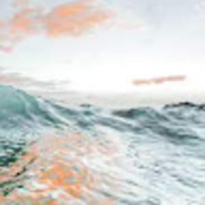 Meet your Posher, Violet